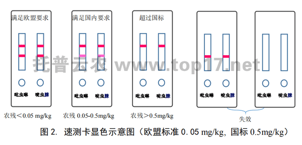 茶葉農殘速測卡顯色示意圖