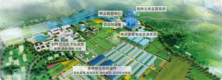 信息化種業基地