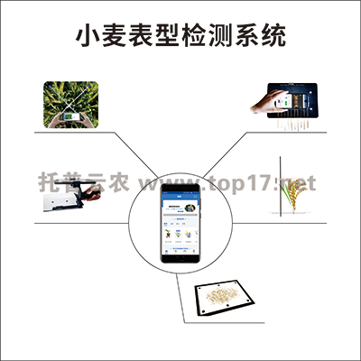 玉米表型檢測系統 TPY-BX-1