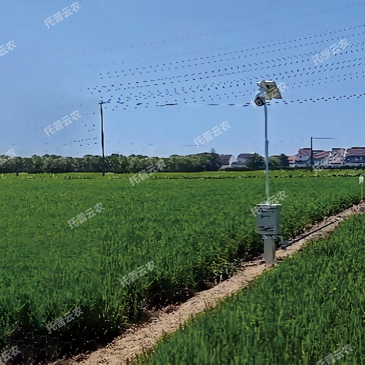 自動趕蛾智能統計桿